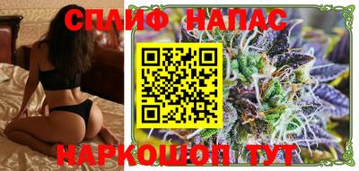 мдпв Славгород