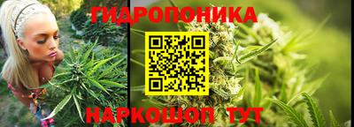 гашик Севастополь