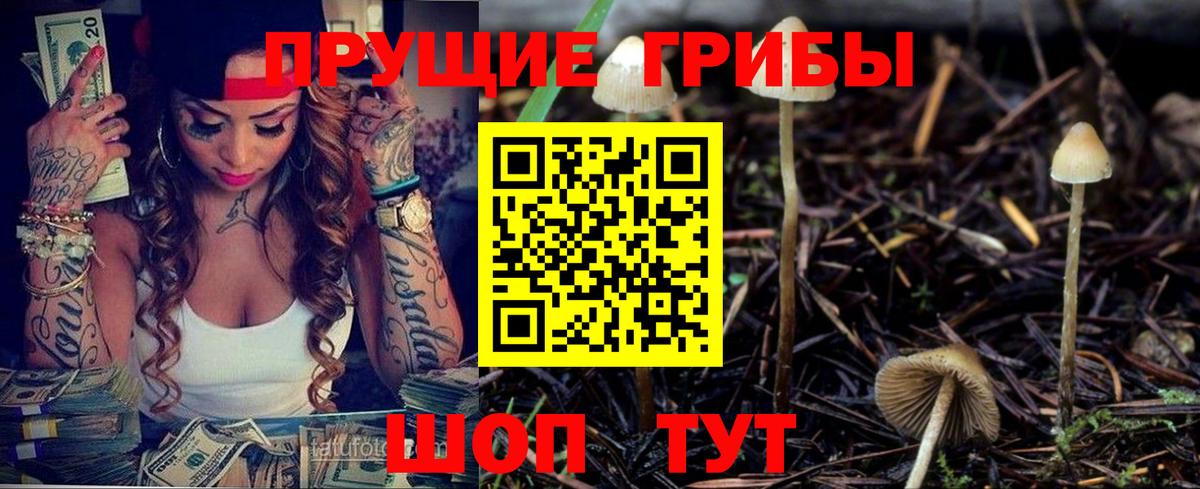 Псилоцибиновые грибы Cubensis  Галлюциногенные грибы прущие грибы  Вход с VPN  Осинники 