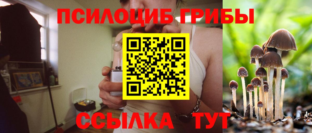 Галлюциногенные грибы мицелий Осинники
